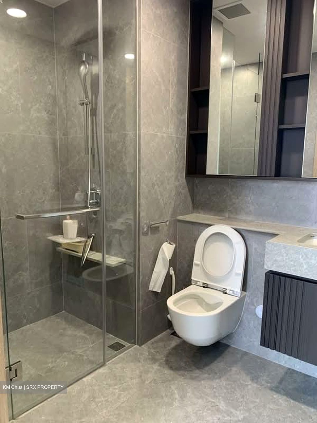 KI Residences at Brookvale (D21), Condominium #556772611